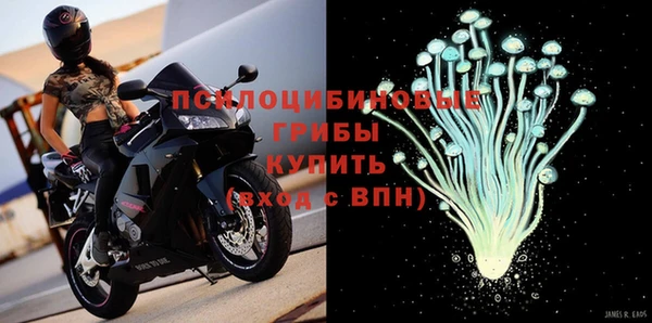 дурь Алексеевка